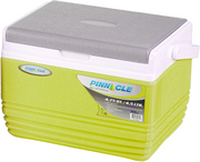Pinnacle Ice Cooler Box with Soft Touch Handle Keeps Cold Upto 48 Hours (Eskimo Green 4.5L)