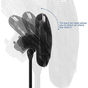 Sonashi 16 inch Stand Fan with Remote Control