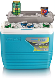Pinnacle Primero Ice Cooler Box, Keeps Cold Upto 72 Hours (32 Litre, Blue)