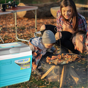 Pinnacle Primero Ice Cooler Box, Keeps Cold Upto 72 Hours (32 Litre, Blue)