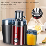 RAF Juice Extractor 1000W | R.2817