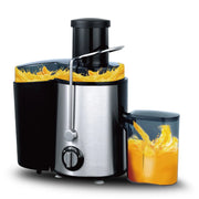 RAF Juice Extractor 1000W | R.2817