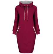 Autumn winter dress Long sleeve vestidos Casual party dresses vestido de festa women dress plus size High collar robe femme