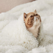 Warm Bayeta Suitable For Sofa Bed For Four Seasons