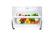 LG 509L Liters  Top Freezer Refrigerator - Silver